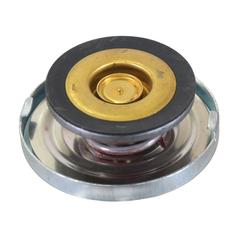 Radiator Cap 2