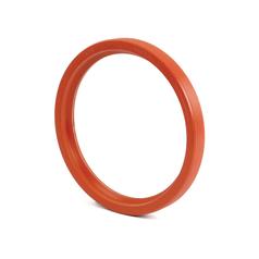Oil Seal 1