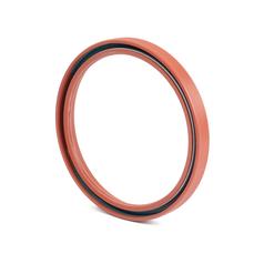 Oil Seal 2