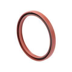 Oil Seal 1