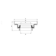 Rear Axle Seal 3