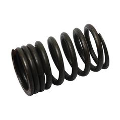 Valve Spring - Outer 1