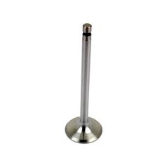 Inlet Valve 1