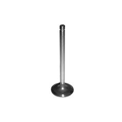 Inlet Valve 1