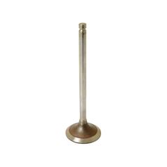 Inlet Valve 1