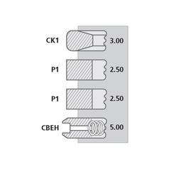 Piston Ring Standard 2