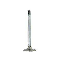 Inlet Valve 1