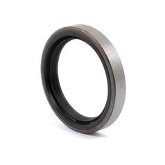 Oil Seal 1
