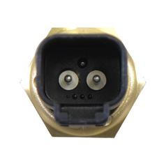 Water Temperature Switch 2