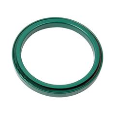 Oil Seal 1