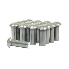Roundhead Rivet M6.0x16mm (0.5kg) 1
