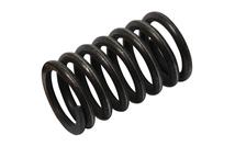 Valve Spring - Outer