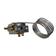Thermostatic Switch