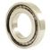 Sparex Cylindrical Roller Bearing