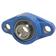 NTN SNR Two-Bolt Flanged Unit (UCFL206)