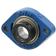 NTN SNR Two-Bolt Flanged Unit (ESFD207)