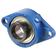 NTN SNR Two-Bolt Flanged Unit (ESFLE207)