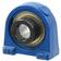 NTN SNR Two-Bolt Pillow Block Bearing (ESPAE208)