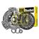 Clutch Kit with Bearings