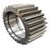 Planetary Gear
