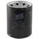 Oil Filter - Spin On