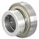 NTN SNR Bearing Insert (ES206)