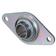 Sparex Two-Bolt Flanged Unit (RRTY35)