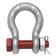 Bolt Type Anchor Shackle G2130 - SWL: 1/2T, Size: 1/4\'\' (5 pcs.)