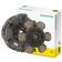 Clutch Kit without Bearings