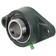 Sparex Two-Bolt Flanged Unit (UCFL207)