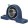 Sparex Two-Bolt Pillow Block Bearing (UCP207)
