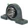 Sparex Two-Bolt Pillow Block Bearing (UCP209)
