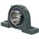 Sparex Two-Bolt Pillow Block Bearing (UCP213)