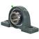 Sparex Two-Bolt Pillow Block Bearing UCP (UCP208-24)