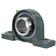 Sparex Two-Bolt Pillow Block Bearing UCP (UCP211-32)