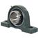 Sparex Two-Bolt Pillow Block Bearing UCP (UCP213-40)