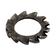 Metric External Shakeproof Washers, 6mm