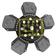 Clutch Plate