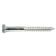 Metric Coach Screw, M10x100mm (DIN 571)